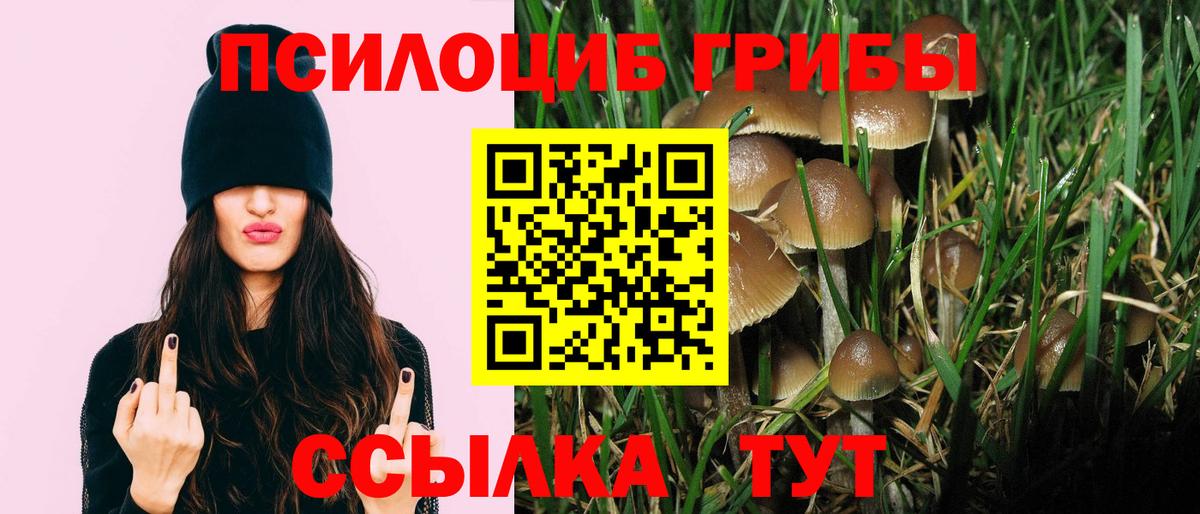 Сарапул  Галлюциногенные грибы Cubensis  где купить наркоту  Вход с VPN  Псилоцибиновые грибы мицелий 